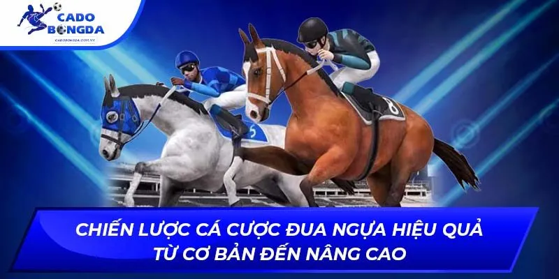 Chiến lược cá cược đua ngựa hiệu quả từ cơ bản đến nâng cao