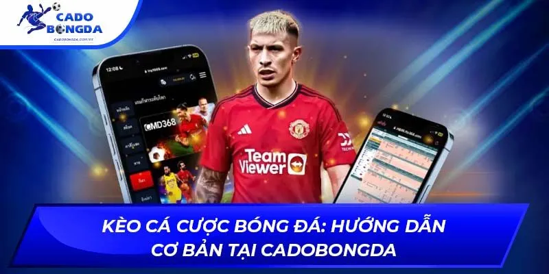 Kèo cá cược bóng đá: Hướng dẫn cơ bản tại cadobongda