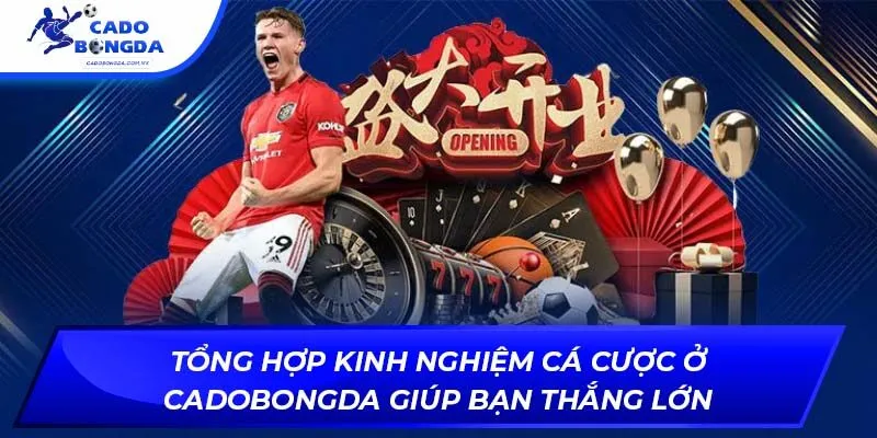 Tổng Hợp Kinh Nghiệm Cá Cược Ở Cadobongda Giúp Bạn Thắng Lớn